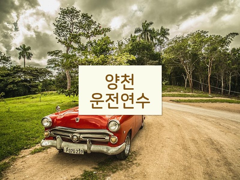 양천운전연수 후기