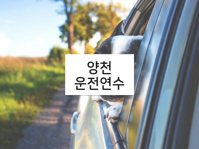 양천운전연수 후기