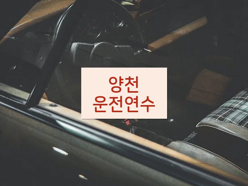 양천운전연수 후기