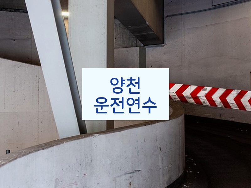 양천운전연수 후기