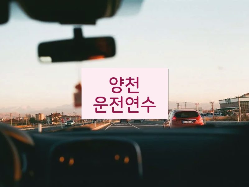 양천운전연수 후기