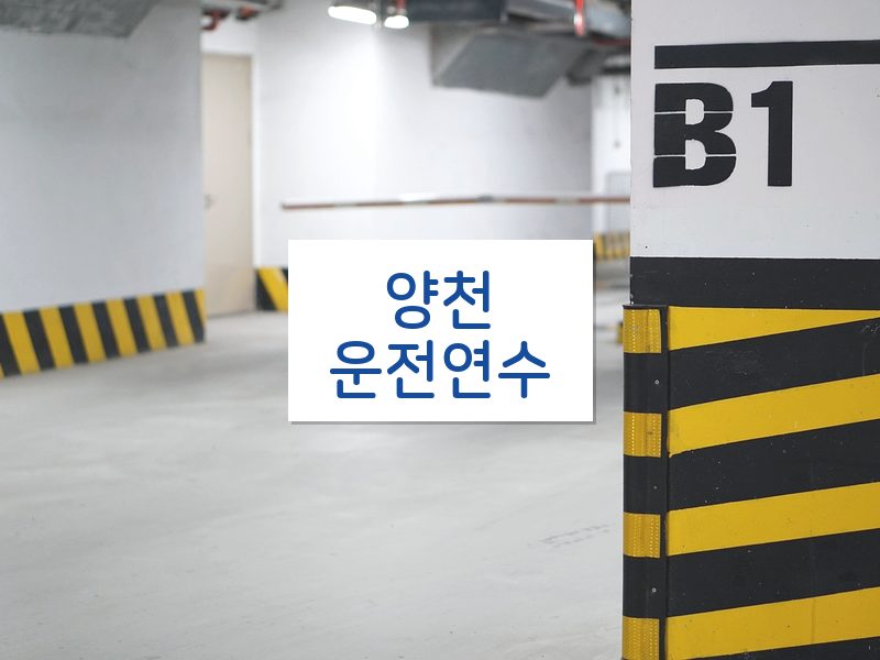 양천운전연수 후기