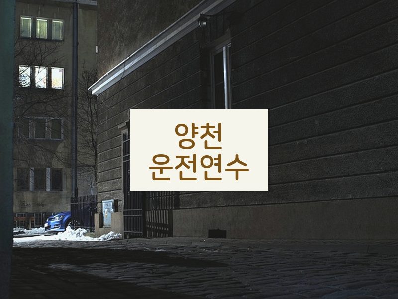 양천운전연수 후기
