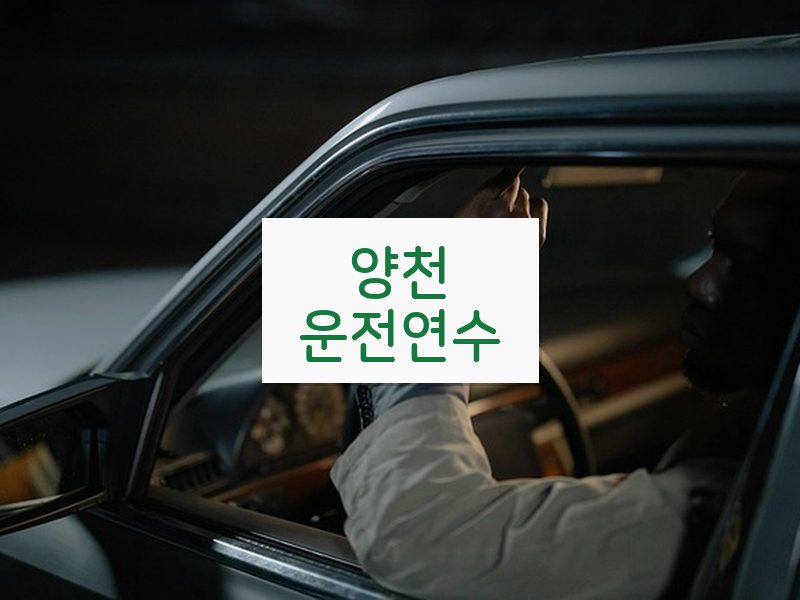 양천운전연수 후기