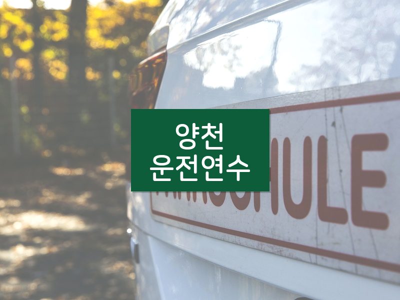 양천운전연수 후기