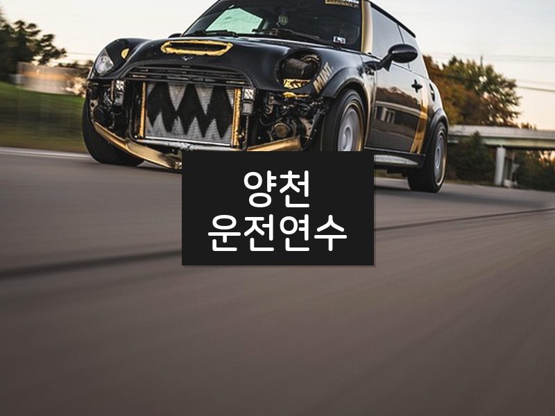 양천운전연수 후기