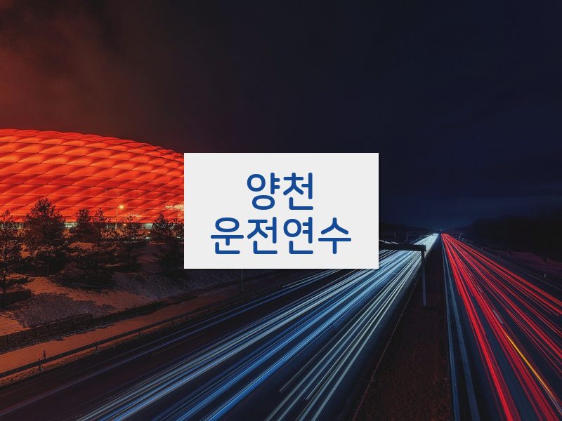 양천운전연수 후기
