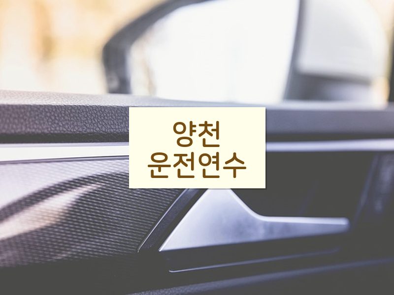 양천운전연수 후기