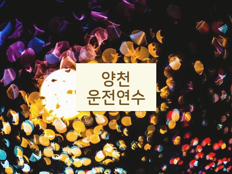 양천운전연수 후기