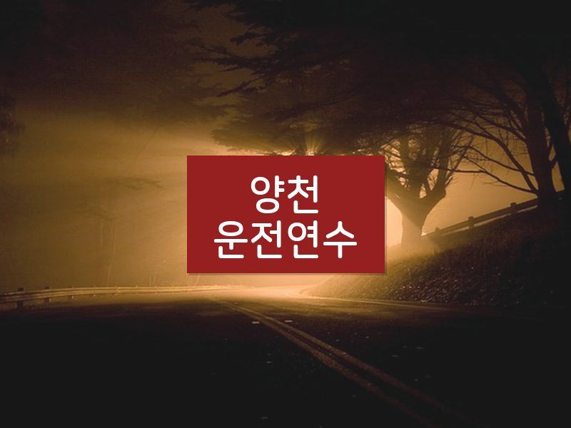 양천운전연수 후기