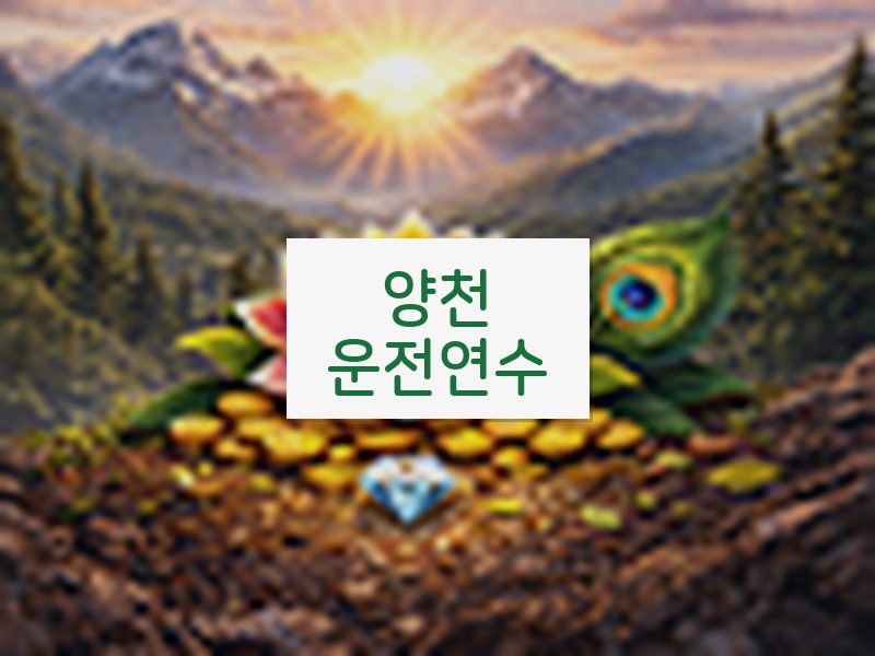 양천운전연수 후기