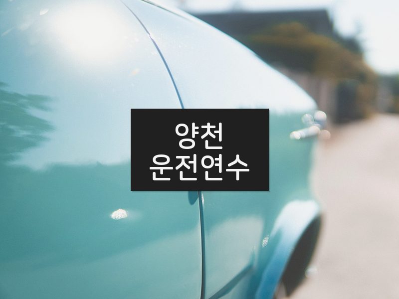 양천운전연수 후기