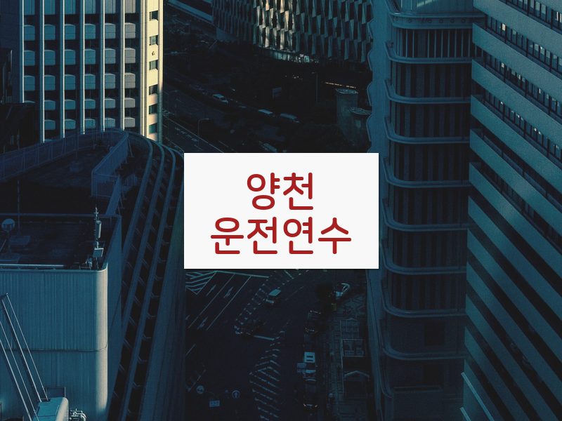 양천운전연수 후기