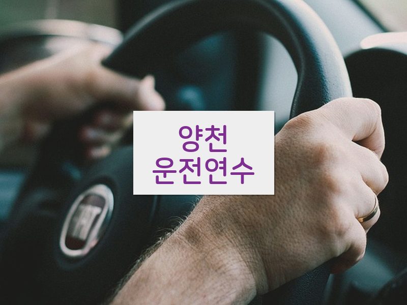 양천운전연수 후기