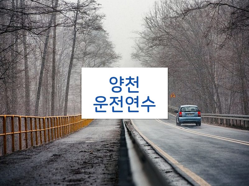 양천운전연수 후기