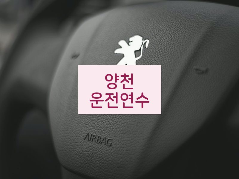 양천운전연수 후기