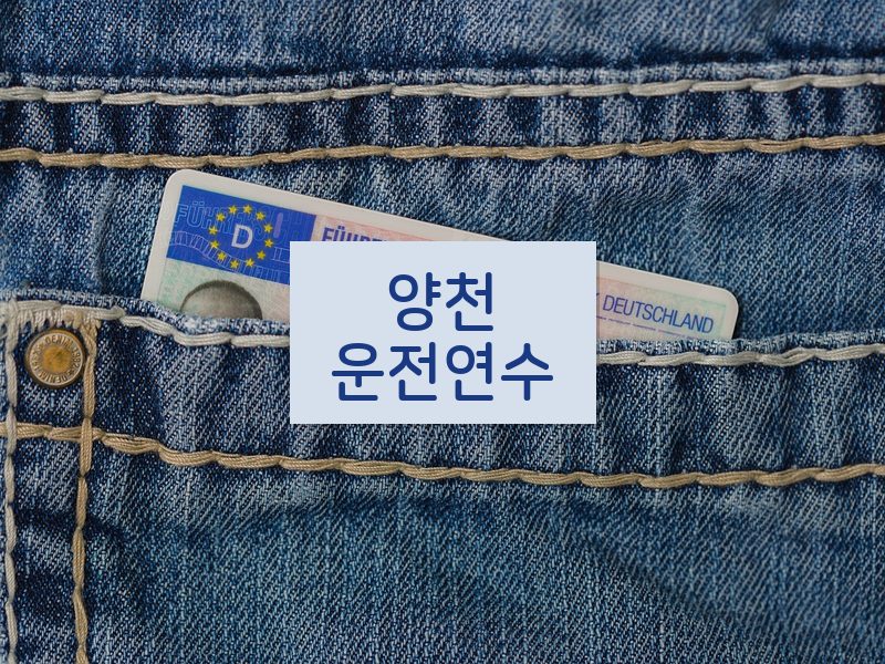 양천운전연수 후기