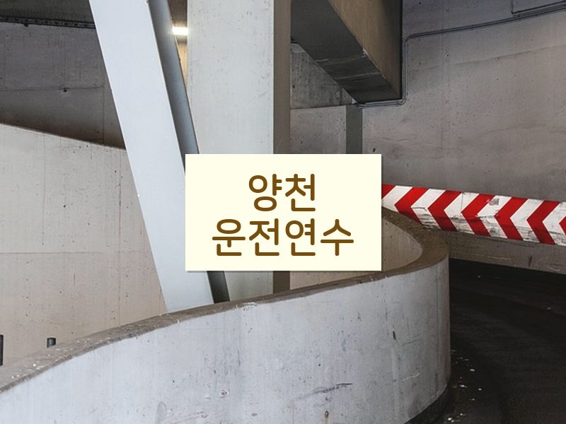 양천운전연수 후기