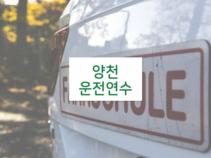 양천운전연수 후기