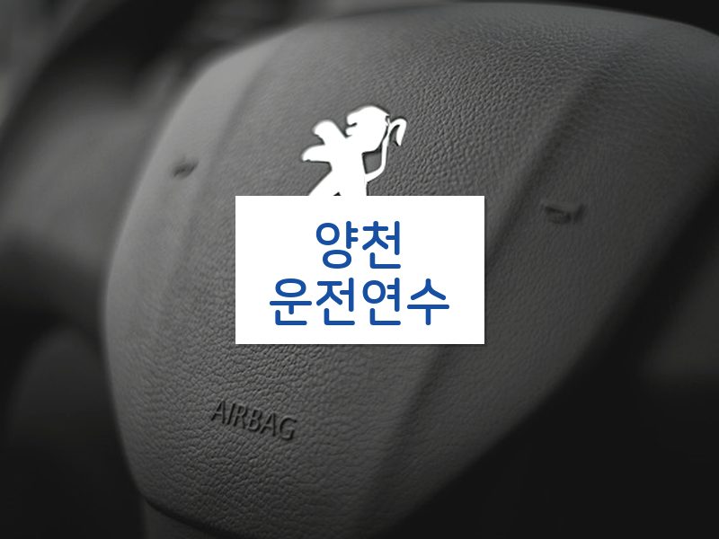 양천운전연수 후기
