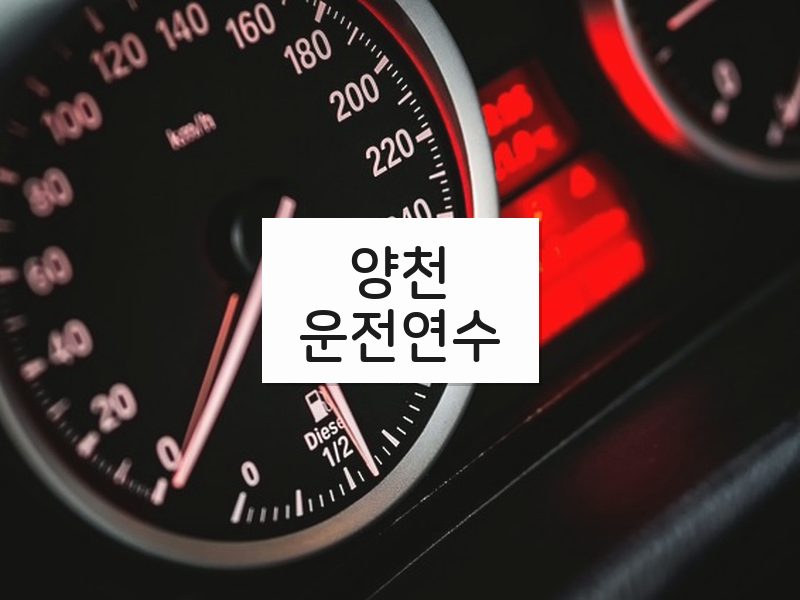 양천운전연수 후기