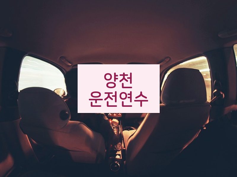 양천운전연수 후기