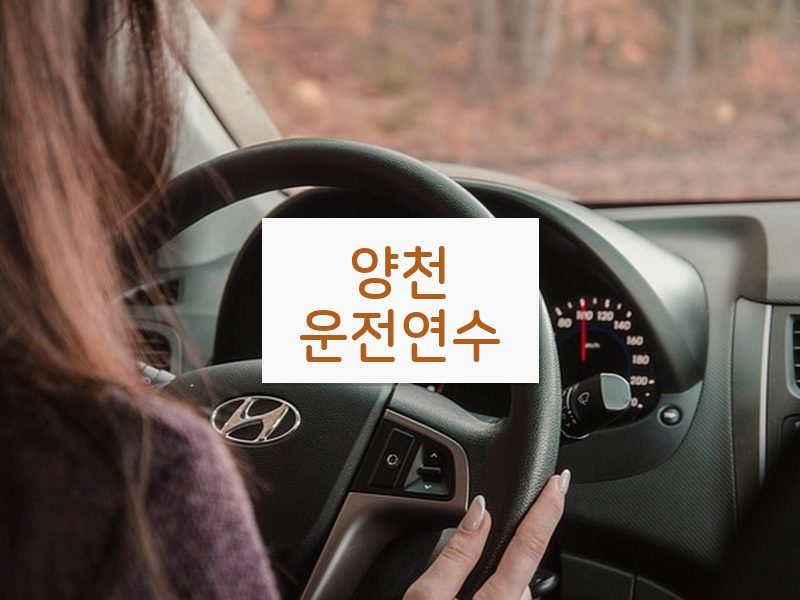양천운전연수 후기
