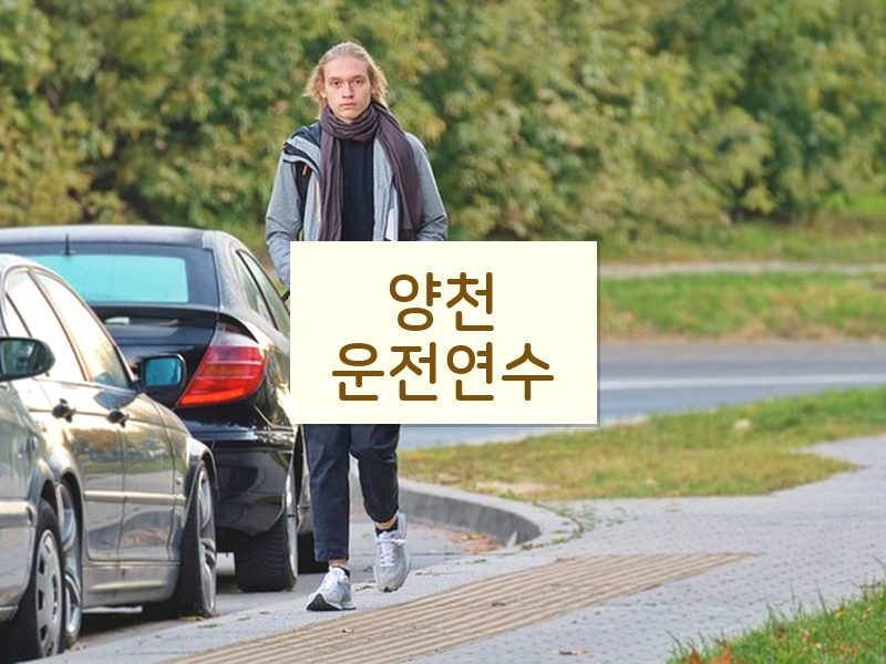 양천운전연수 후기