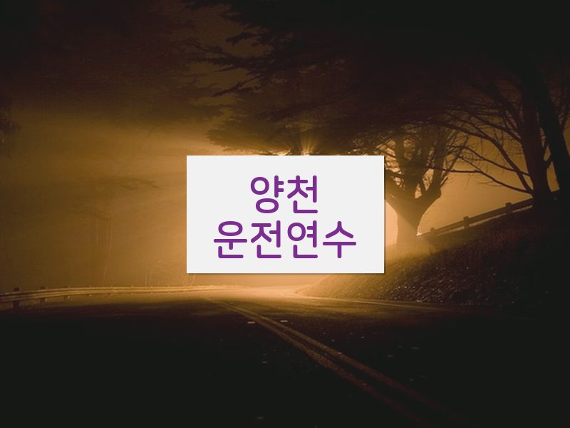 양천운전연수 후기