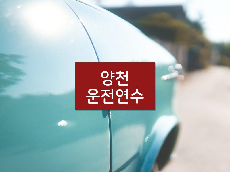 양천운전연수 후기