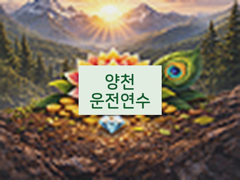 양천운전연수 후기