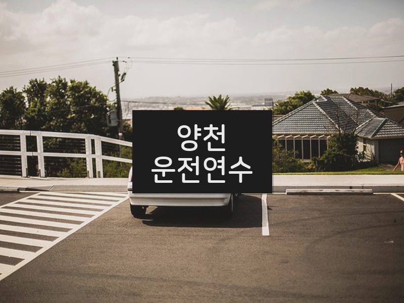 양천운전연수 후기
