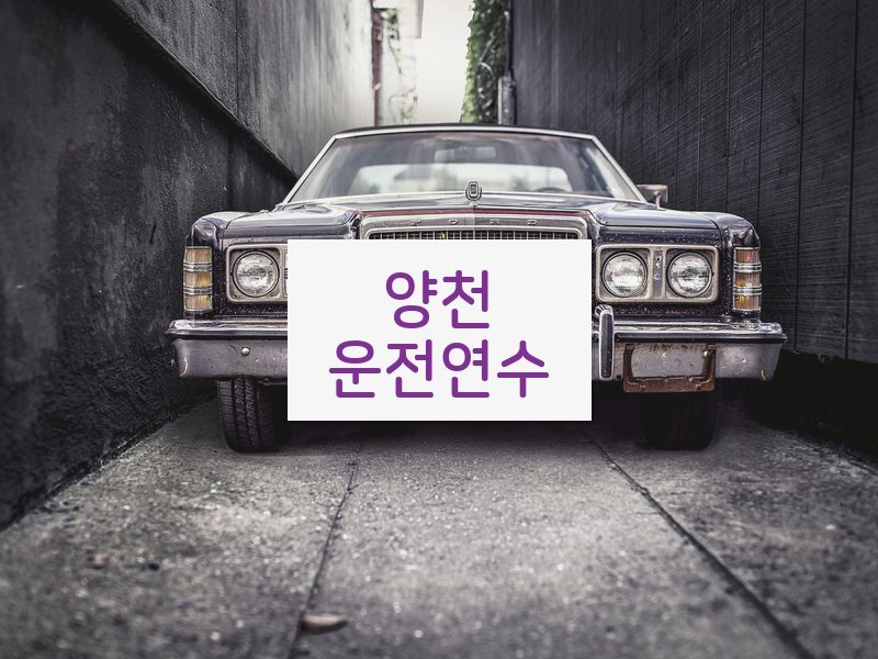 양천운전연수 후기