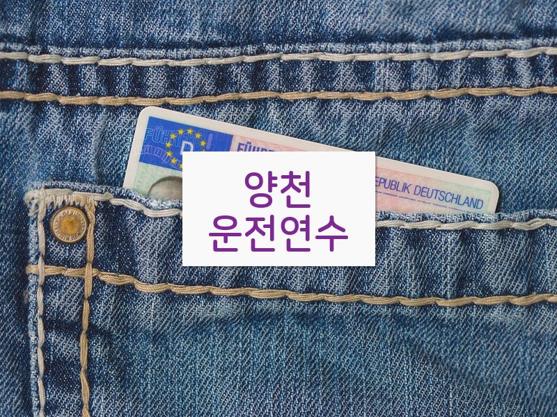 양천운전연수 후기