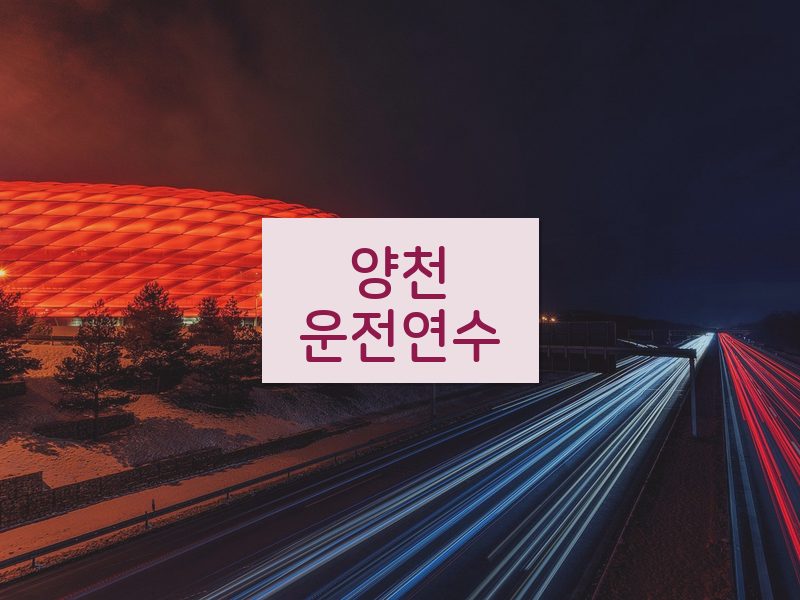 양천운전연수 후기