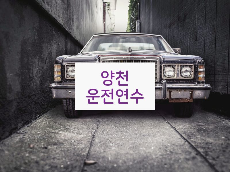 양천운전연수 후기