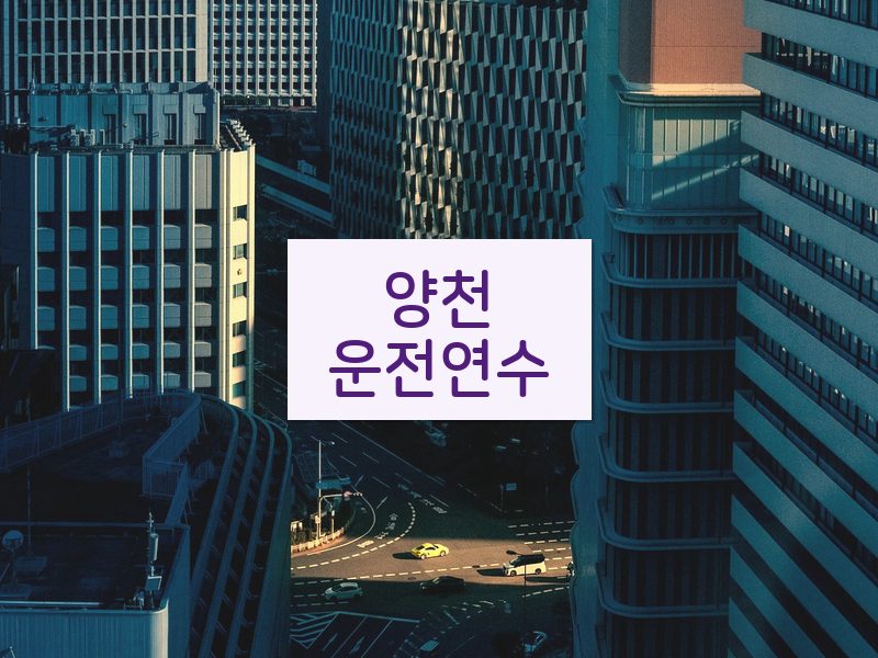 양천운전연수 후기