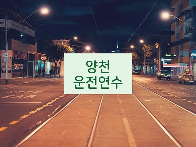 양천운전연수 후기