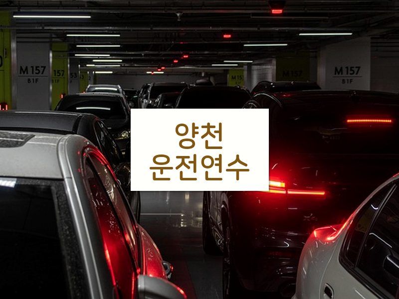 양천운전연수 후기