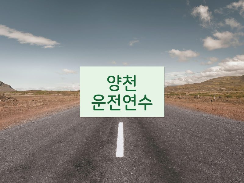 양천운전연수 후기