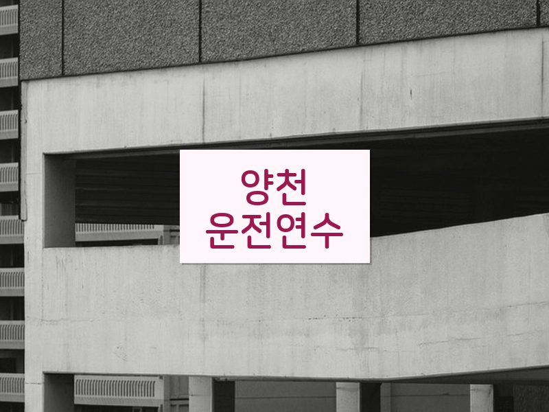 양천운전연수 후기