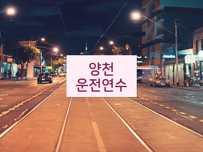 양천운전연수 후기