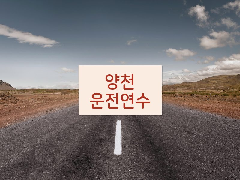 양천운전연수 후기