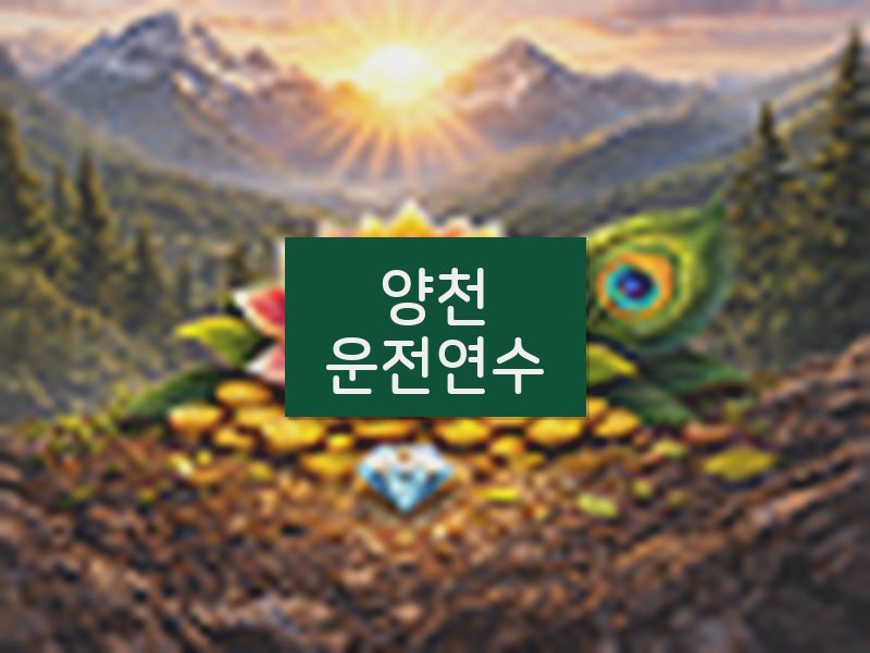 양천운전연수 후기