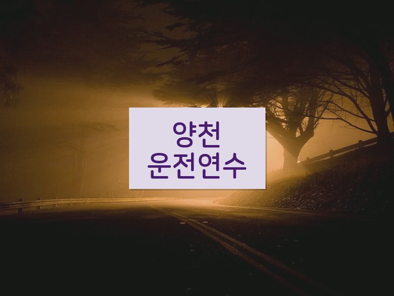 양천운전연수 후기