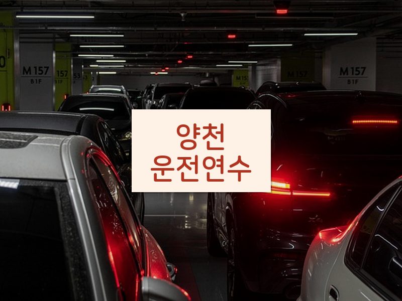 양천운전연수 후기