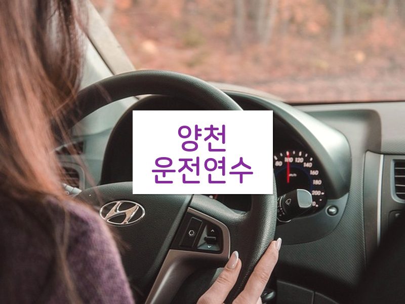 양천운전연수 후기
