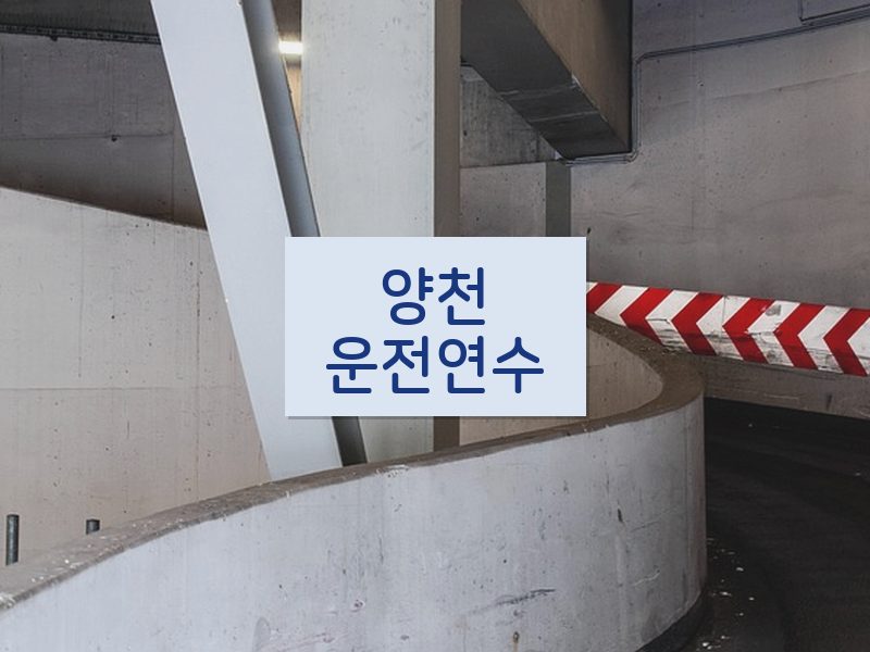 양천운전연수 후기