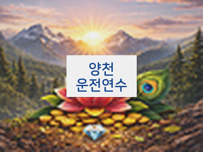 양천운전연수 후기