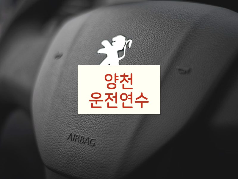 양천운전연수 후기